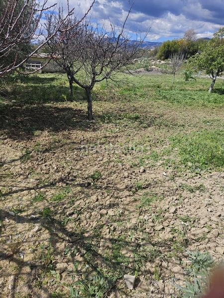 Foto e7d53825-df36-4e35-a5ad-3a2d0aca5c53. Mas dans El Secanet-Hacienda del Sol Vila Joiosa (la)