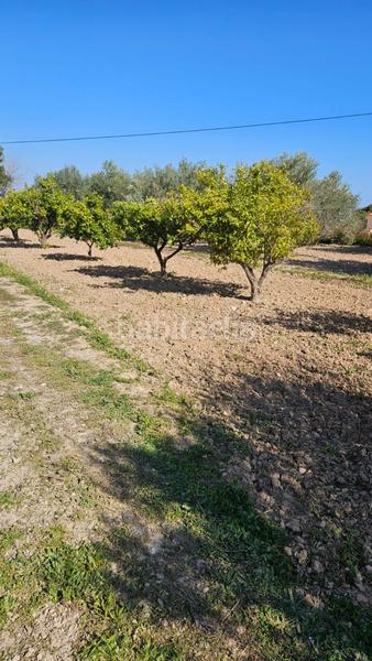 Foto ec9ef3f3-dd56-4a5d-8bb0-f4520e5c8217. Mas dans El Secanet-Hacienda del Sol Vila Joiosa (la)