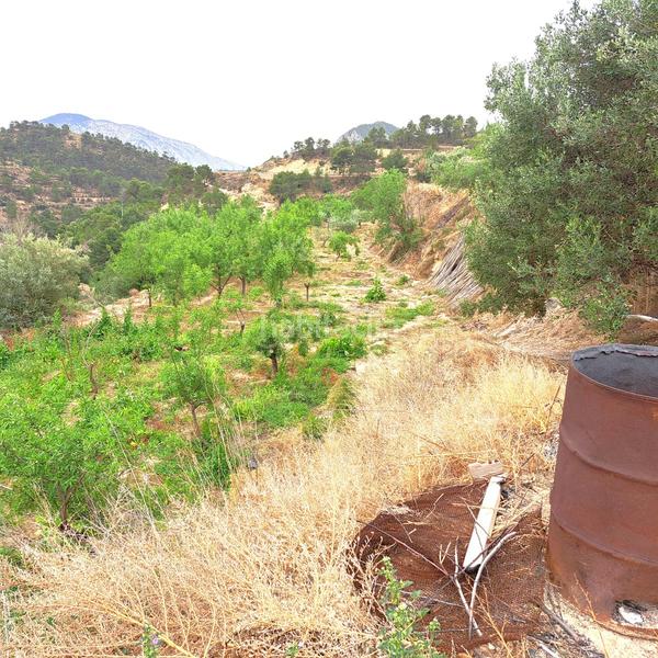 Foto 0b992dfc-a8be-49cd-bb2f-11ecaeebd66b. Masía en 4 finca rúst. en venta . en Sella