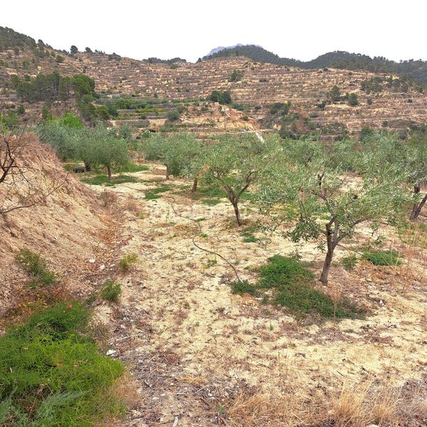 Foto 2ee78d52-f5e0-4eb8-998c-a2ae505d8a88. Masía en 4 finca rúst. en venta . en Sella