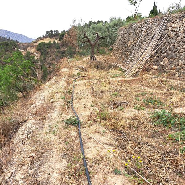 Foto 41245110-e123-4806-a89a-4768a8c48fee. Masía en 4 finca rúst. en venta . en Sella
