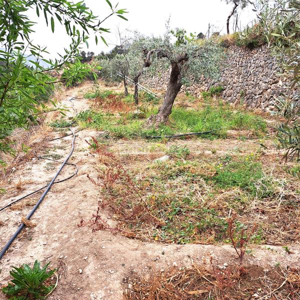Foto 644c6324-a7bf-41aa-9987-df363a617d9a. Masía en 4 finca rúst. en venta . en Sella