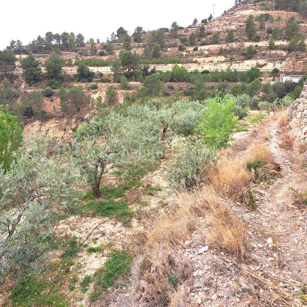 Foto ba69f3f2-b8cb-439f-bada-8d56d2e28a75. Masía en 4 finca rúst. en venta . en Sella