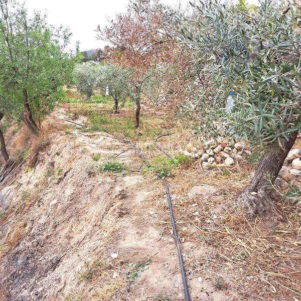 Foto e6bf3afb-d12e-45e3-9d1d-113f549f0557. Masía en 4 finca rúst. en venta . en Sella