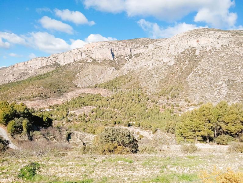 Foto 5b4afc3f-5227-490a-9550-7af5eebcd674. Mas dans Sella