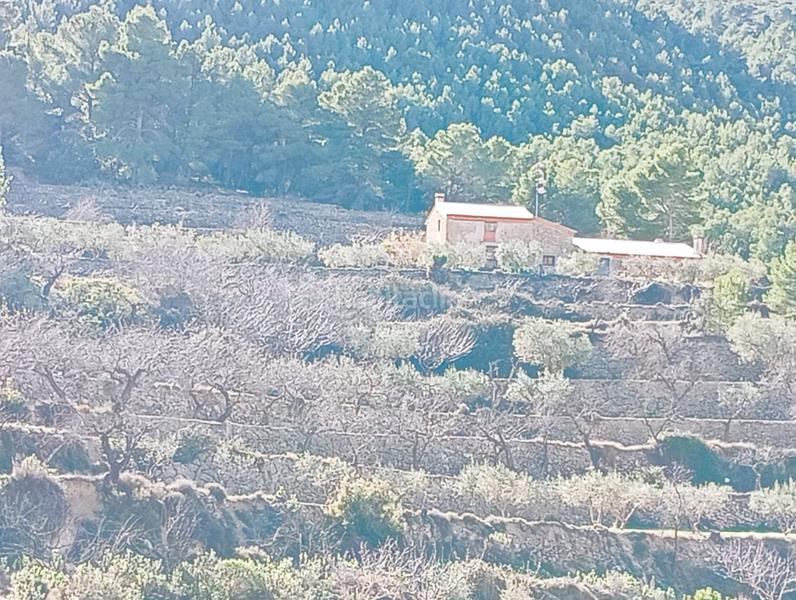 Foto ddce1948-e9d6-48f9-a67d-1f0220bf3e66. Mas dans Sella