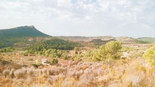 Mas à Relleu. Finca rúst. en venta en relleu.