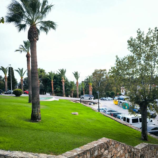 Foto 79296ce0-8b38-48ee-97d5-6c3179c6ae11. Terrain résidentiel dans calle san francisco 11 dans San Roque