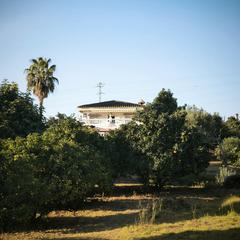 Finca rstica en San Roque Pueblo. Parcela en el albarracn