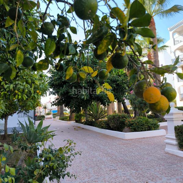 Foto 722c13a8-6f06-4a20-80a1-66c8e52080a9. Appartement mit pool in San Luis de Sabinillas Manilva