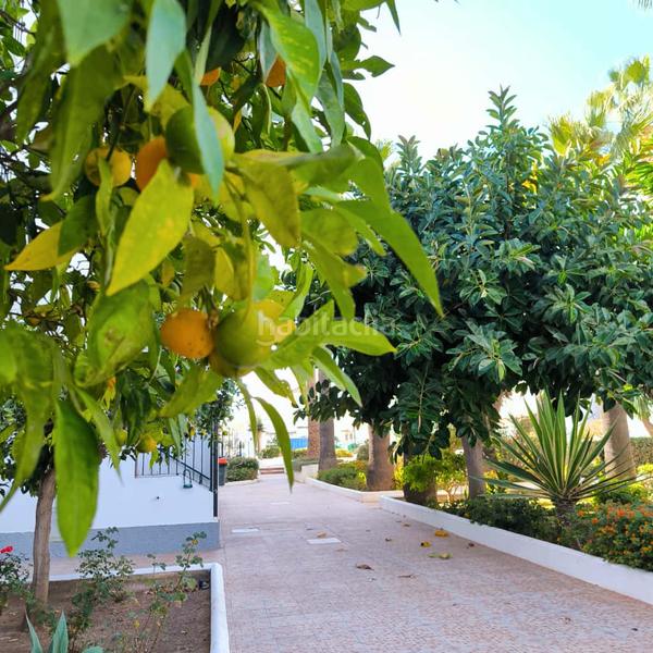 Foto ab2a516e-f0d5-47c7-bd29-8b0ed068b8c2. Appartement mit pool in San Luis de Sabinillas Manilva