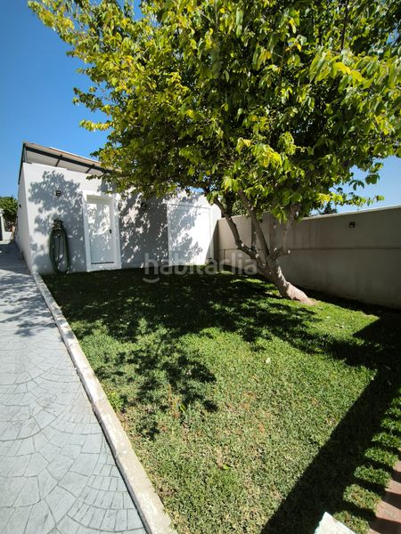 Foto f6d5f37f-d2a6-47dc-b7db-e77066f8e815. Finca rústica a San Roque pueblo San Roque