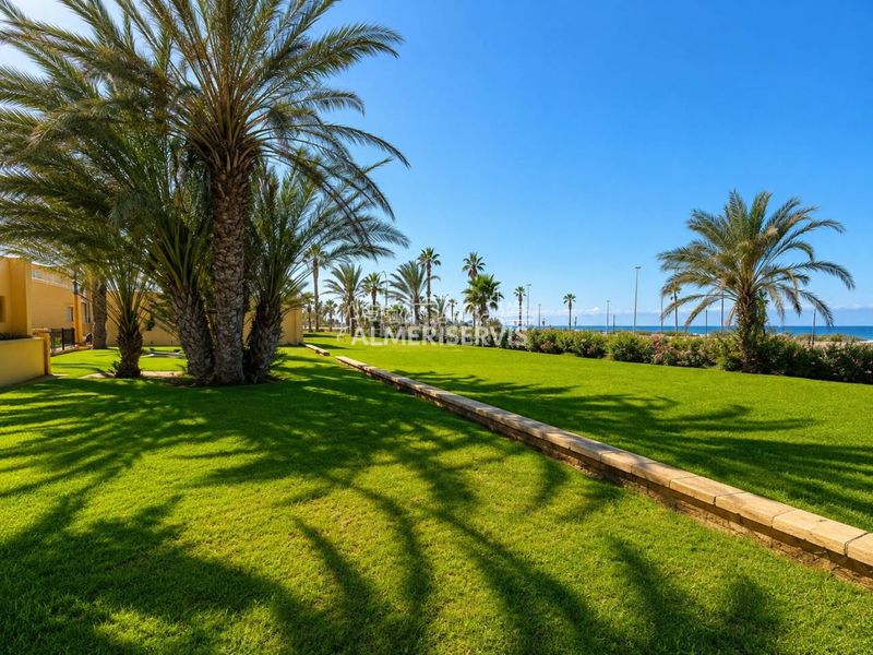 Foto cfb7b96b-6261-423e-9423-8d9452a57b46. Apartament amb piscina a Balerma Ejido (El)