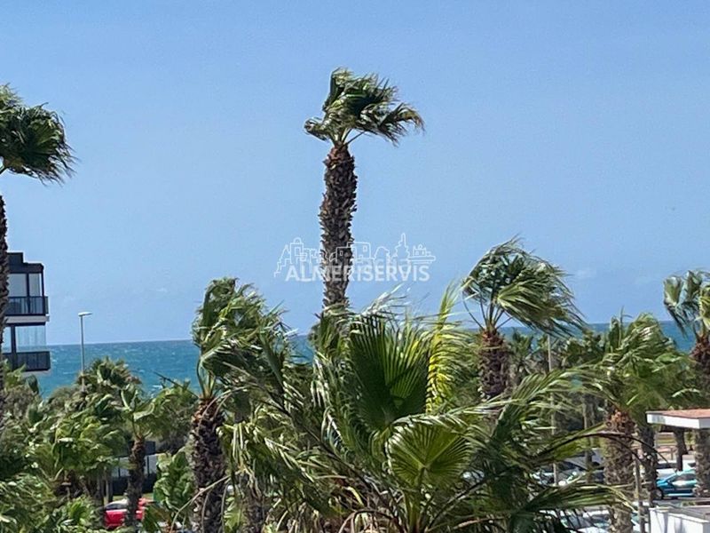 Foto bf0d3f24-2113-4b89-8809-2f7edbdc7198. Pis amb piscina a San Agustín Ejido (El)