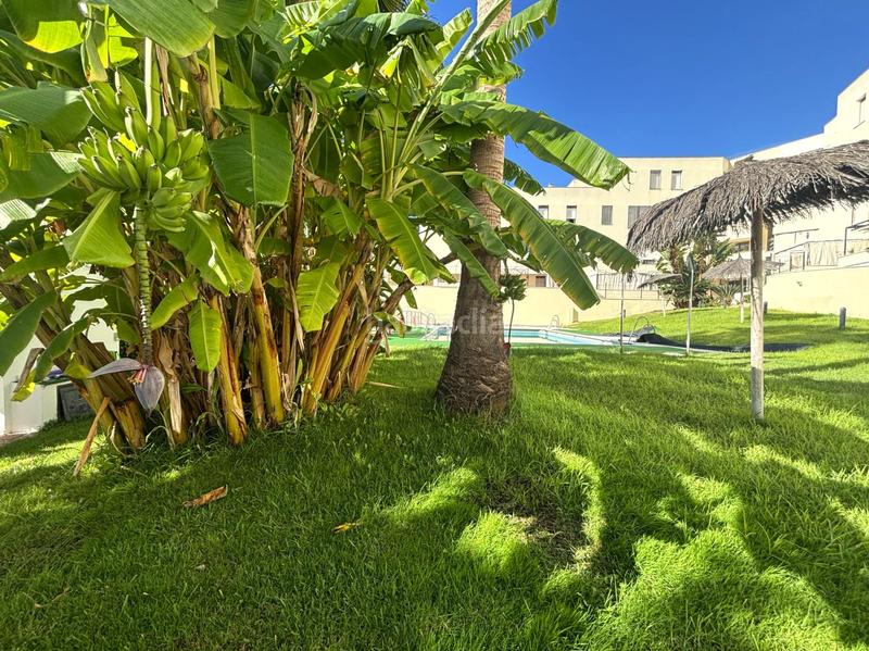 Foto 522123bb-f4d3-4633-83f3-396e5145951e. Affitto appartamento con piscina in El Rompido