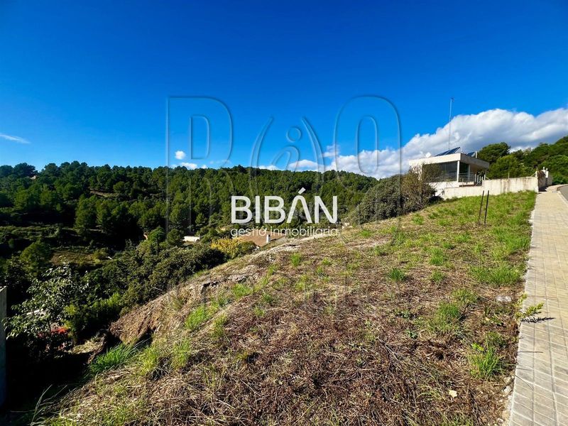 Foto a3de3651-a4dd-48ab-84c9-50e5ddd2a9e4. Finca rústica a Almoster