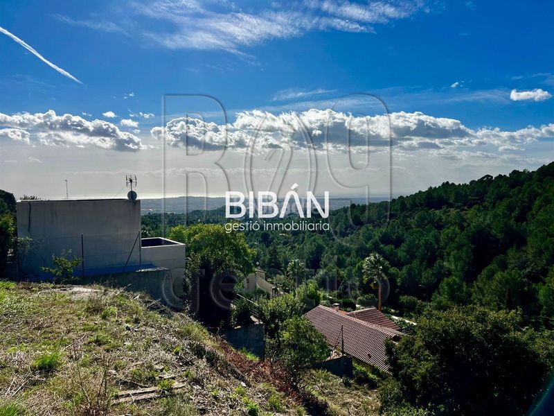 Foto c0266b06-237d-44e2-a737-fa64f545121b. Finca rústica a Almoster
