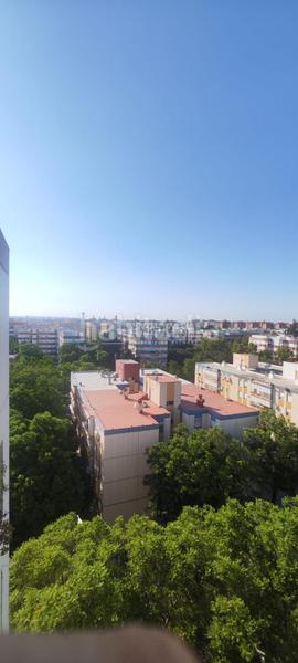 Foto d5a66745-7d6d-4870-96b2-1ad7fafd9486. Piso  en venta en La Oliva Sevilla
