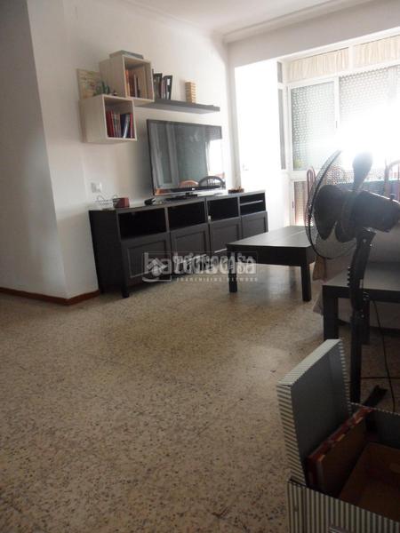 Foto ec6f3cc8-fb3f-4c46-8005-0eb4c6baa494. Alquiler piso  en alquiler en La Oliva Sevilla