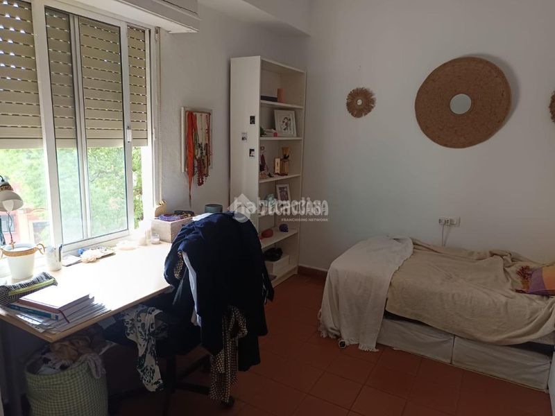 Foto 81998193-6ab0-4c50-8be6-8cfef5f93353. Pis a Bami - La Estrella Sevilla