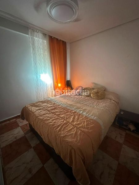 Foto 55bafa03-b261-4379-8387-3d5662bb7a09. Pis a La Oliva Sevilla