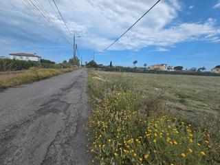 Fondo rustico in Carretera del bovar 62. Terreno rustico el el grao de castellón carrerasa del bovar