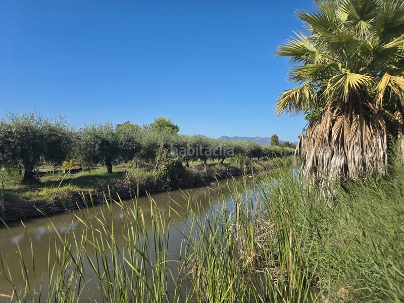 Foto 7ae4dcbd-d5a0-48d2-8d9c-735679a0438b. Finca rústica a camí la fileta 2 a El Grao Castellón de la Plana