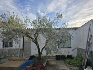 Xalet a Partida plana p 32 27. ***casa urbana en terreno rustico, marjaleria***