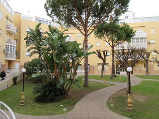 Alquiler Piso  Avenida de la libertad. Última hora, oportunidad, alquiler anual, sin muebles, amplio pi
