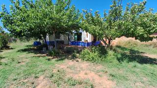 Casa en C-51 4