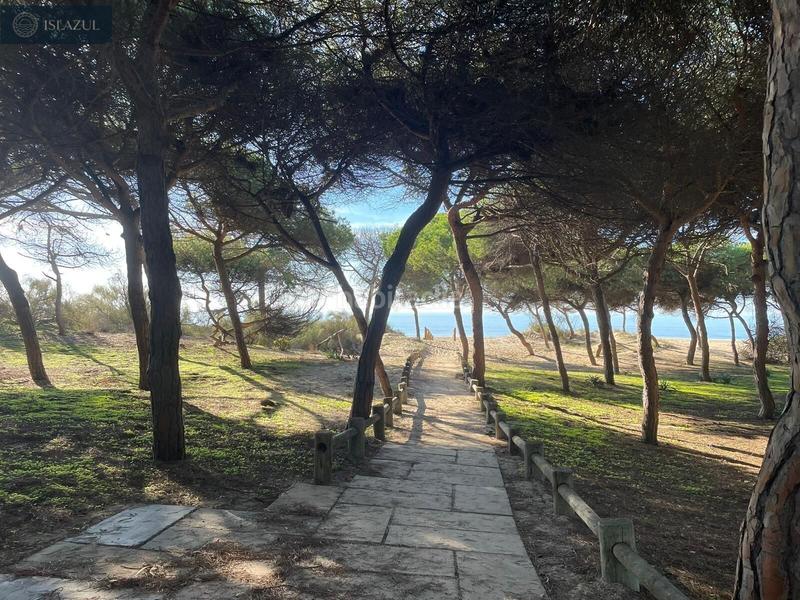 Foto 4cadee95-6e85-4b72-91c0-af465588c5aa. Penthouse with heating parking pool in Islantilla golf Islantilla