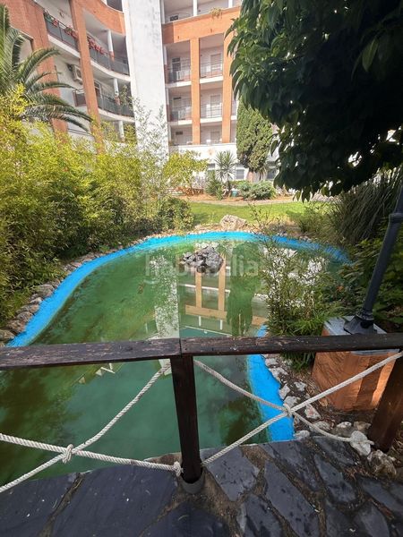 Foto 41fa7b52-edea-433b-bfb9-d4d6281dd065. Pis a Isla Cristina