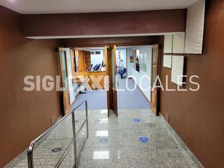 Business premise  Teodora lamadrid