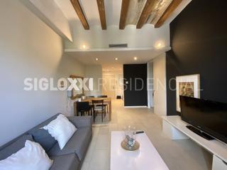 Location Appartement  Plaza pla palau