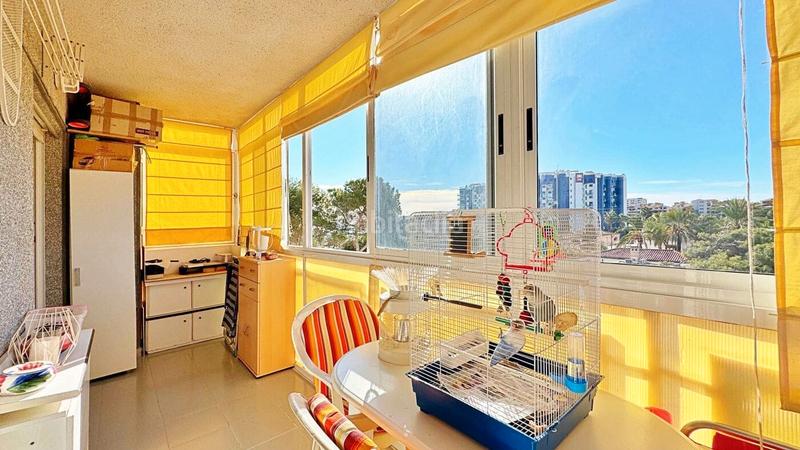 Foto 7689df80-66aa-4453-8adb-f87a68a9bc5b. Apartamento en Punta Prima Torrevieja