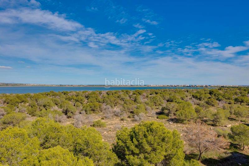 Foto ff476467-9aac-4be5-99c1-b5d0430ad374. Apartament amb piscina a Zona Carrefour - Urbanizaciones Torrevieja