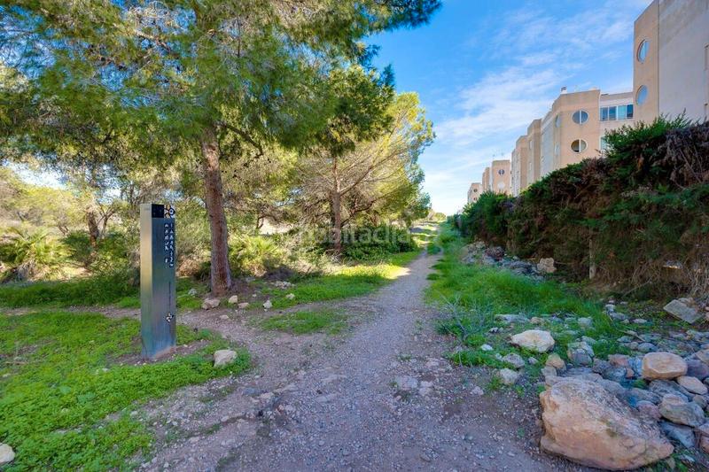 Foto d4cf9bd2-9533-42a5-9bbc-40d754937aa7. Apartment with pool in Zona Carrefour - Urbanizaciones Torrevieja