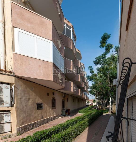 Foto 886bf1da-881a-4db5-a33a-6ed652ba2071. Apartamento en La Regia Orihuela