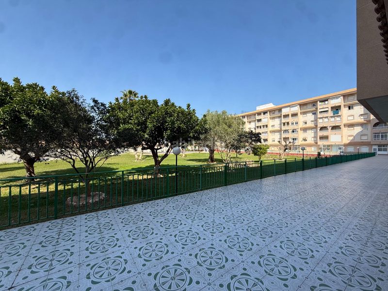 Foto 05ccf2ae-24b2-4ac3-bcd4-f722b4016a97. Planta baixa amb piscina a Parque de las Naciones Torrevieja