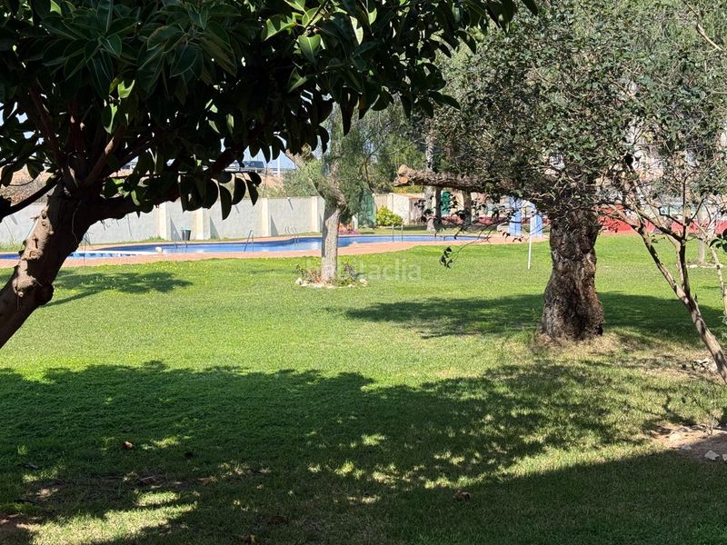 Foto 0cdc4c84-b72a-4c37-ae26-29857f86f380. Planta baixa amb piscina a Parque de las Naciones Torrevieja
