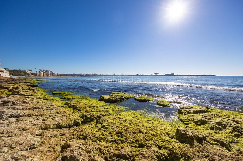 Foto 8b675a16-2605-402e-9d67-4e65240f012c. Planta baixa a Playa de los Náufragos Torrevieja