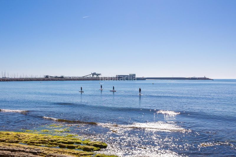 Foto f2fa7653-0e86-4237-8fa6-4cf614444ebd. Planta baixa a Playa de los Náufragos Torrevieja