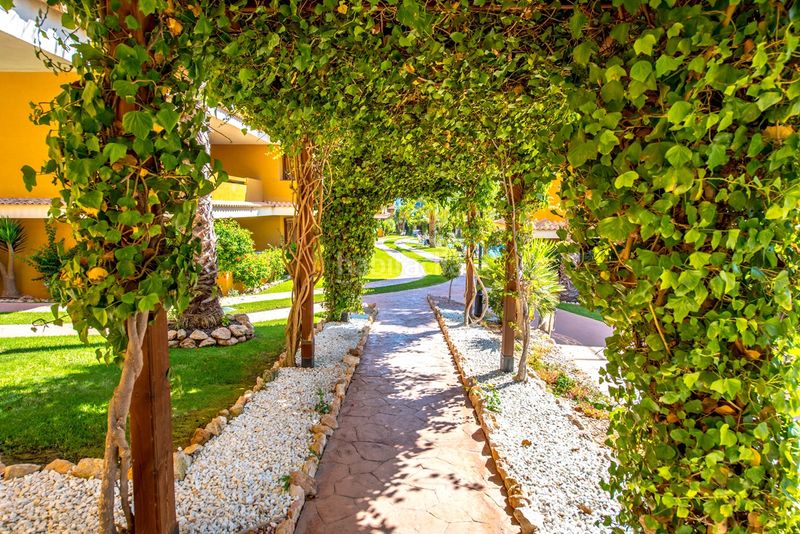 Foto 3c8a52fd-c28b-4c26-8ab3-0556d900006b. Planta baixa amb piscina a Punta Prima Torrevieja