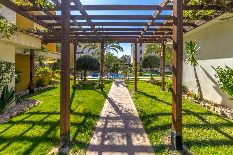 Foto dbc78f12-142d-4278-a772-48ebaf669346. Planta baixa amb piscina a Punta Prima Torrevieja