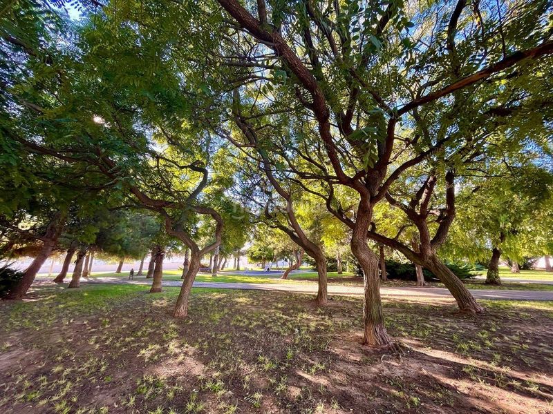 Foto 1310c754-8ed9-490e-bfbe-55dec73cdad6. Casa adossada amb piscina a nueva Torrevieja Torrevieja