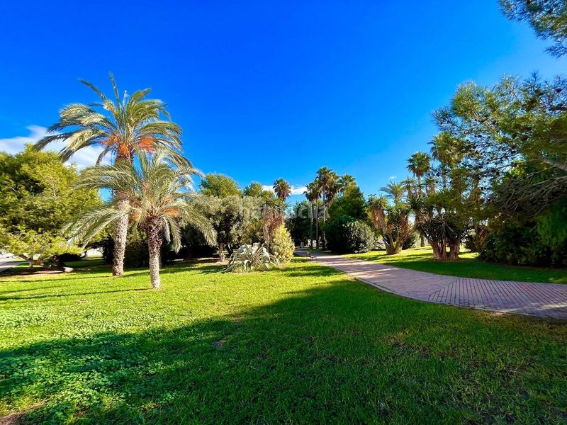 Foto f504601e-1757-4b52-8279-eef460d6801f. Casa adossada amb piscina a nueva Torrevieja Torrevieja