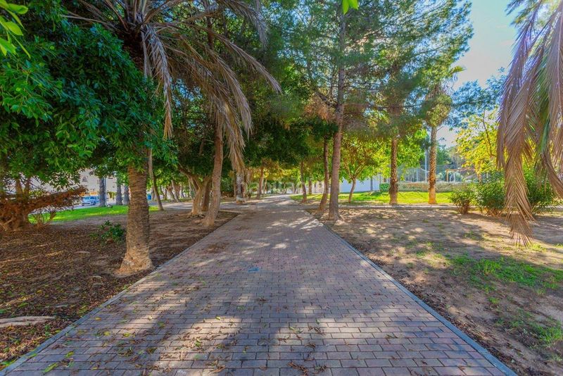 Foto fa6c2aec-696c-4ff7-a531-3229c7a16a41. Casa adossada amb piscina a nueva Torrevieja Torrevieja