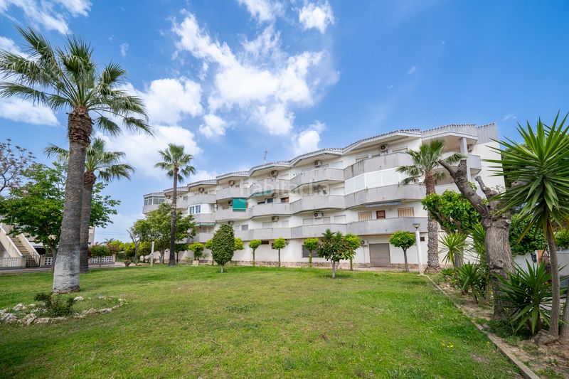 Foto c41da210-2c3c-4f36-8ce5-a8fb492817ed. Apartament a La Regia Orihuela