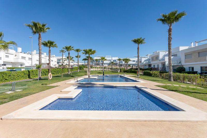 Foto 9fe6d379-4463-4c8f-8579-503cabdb2087. Planta baixa amb piscina a Jacarilla