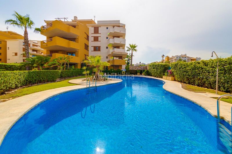 Foto a097900c-43b1-49b7-8d96-2e5ce1ed3e19. Apartament amb piscina a Punta Prima Torrevieja